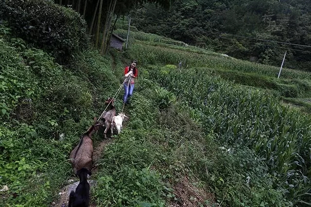 残疾夫妇19年养育弃婴 考上大学担忧双亲