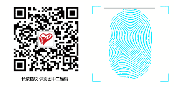 志愿服务第五届乡村文化旅游节