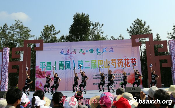 爱在青凤 情定花海-第二届巴山芍药花节志愿服务