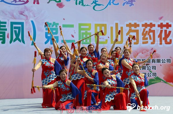 爱在青凤 情定花海-第二届巴山芍药花节志愿服务