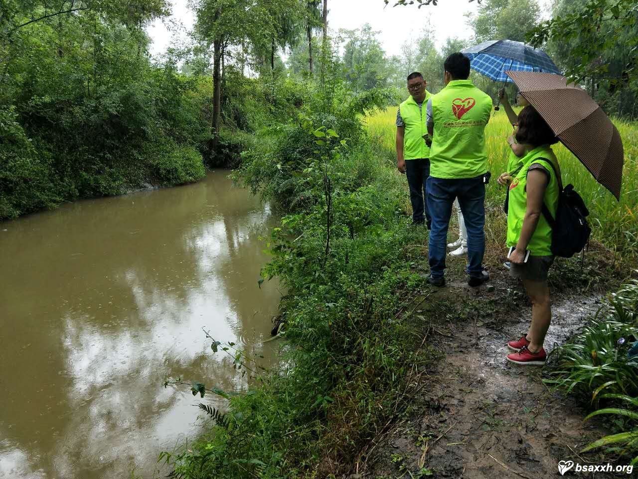 ����������塰��׼��ƶ��